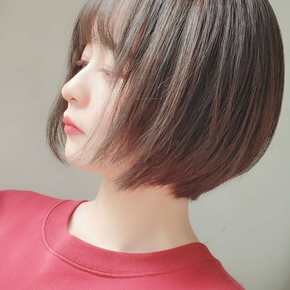 haru🦷🌸🪥 | chéril所属